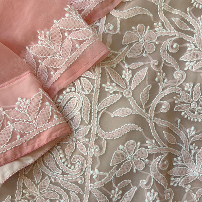 Chikankari/Lucknowi Saree in Pastel Pink