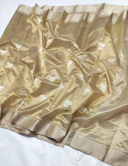 Chanderi silk Saree in Gold