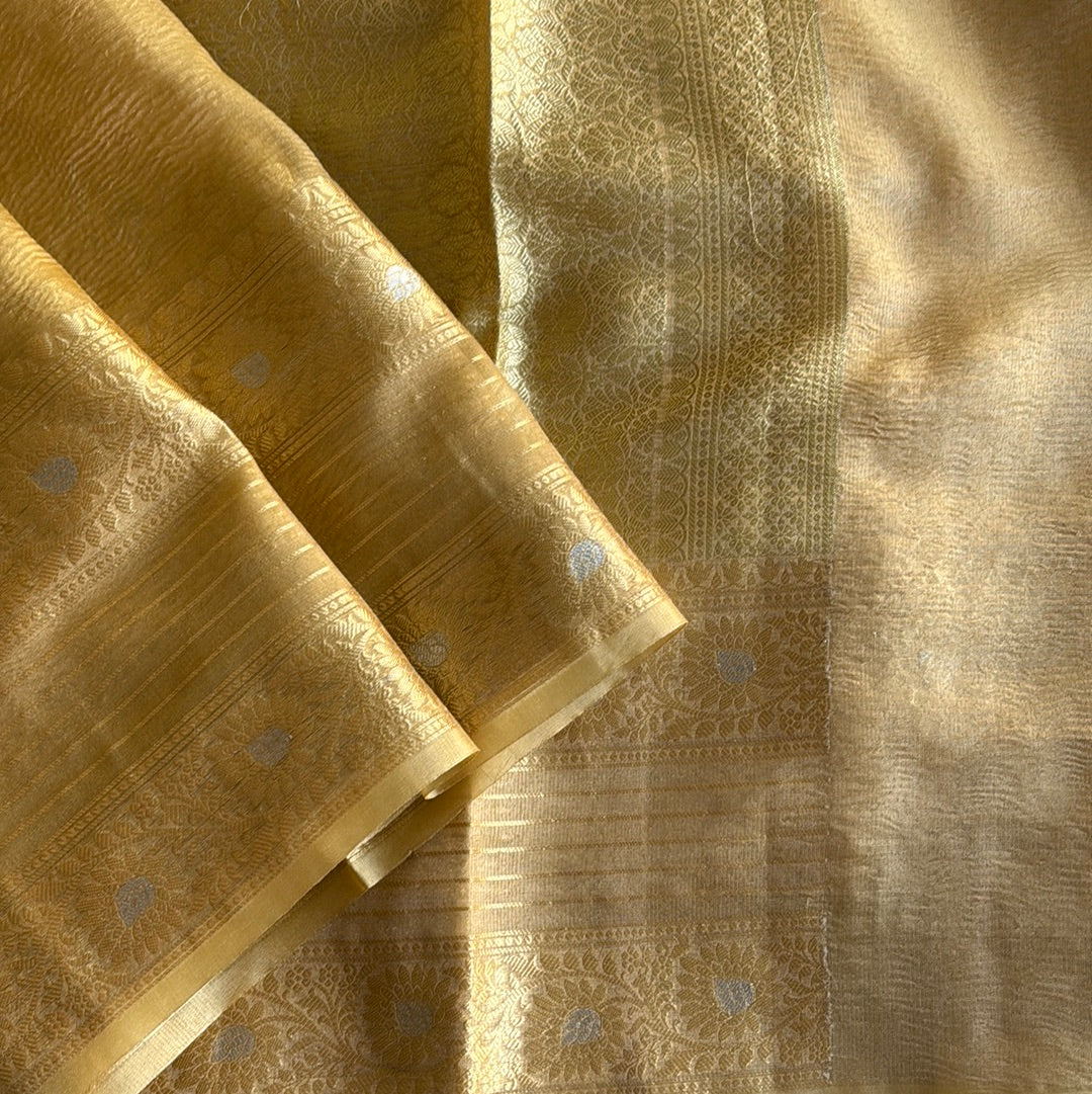 Tissue saree in metallic gold