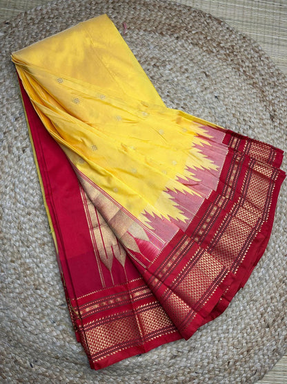 Chikki Paras Saree in Traditional Colors