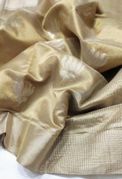 Chanderi silk Saree in Gold